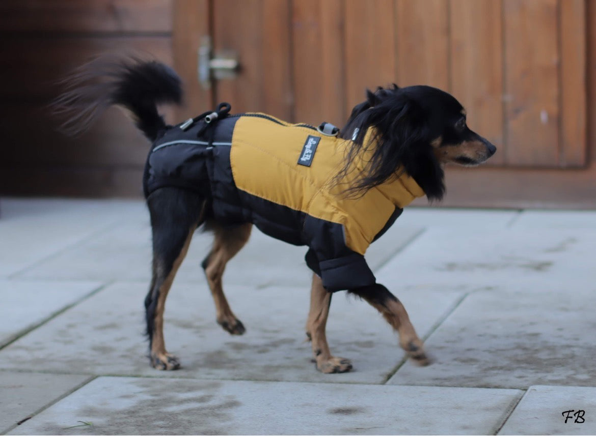 Maßanfertigung – wenn Liebe im Detail steckt 🧵🐾