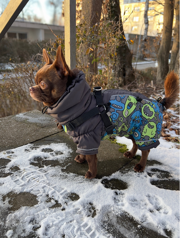 Wir entwickeln neue Größen – und brauchen Ihre Unterstützung!