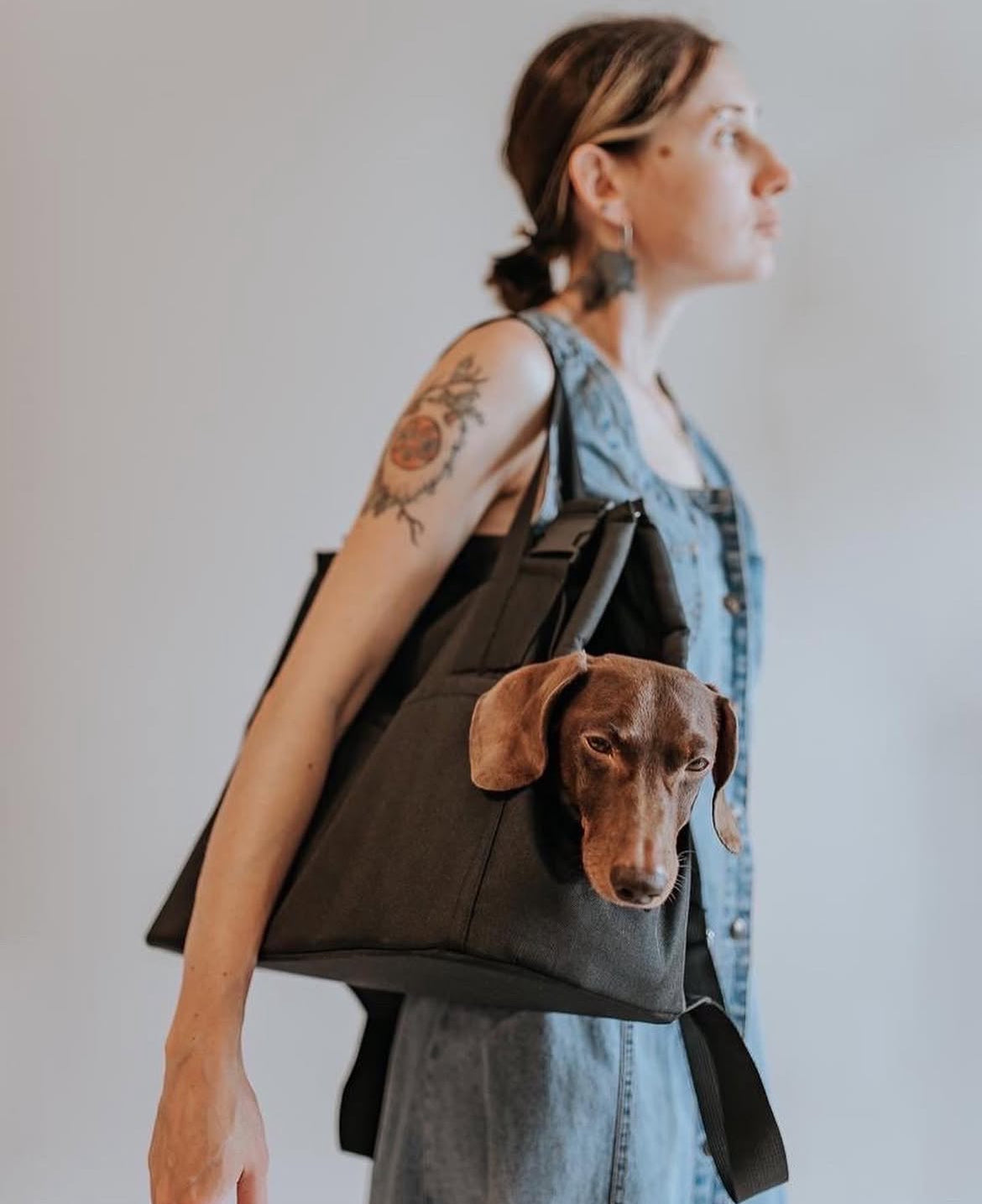 Why a sturdy base in a dog carrier is so important