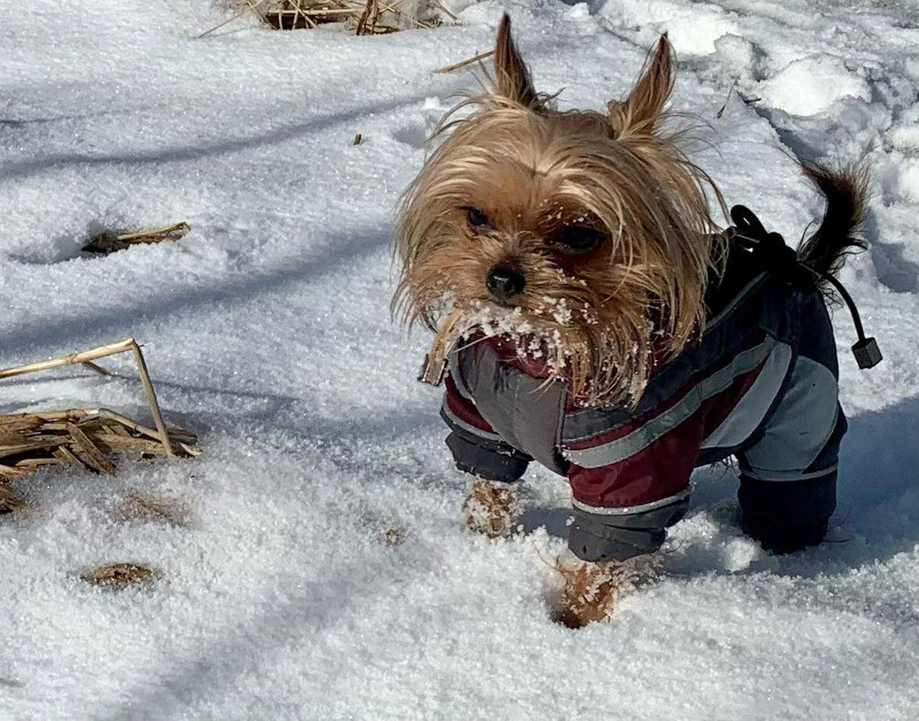 Maßanfertigung – wenn Liebe im Detail steckt.