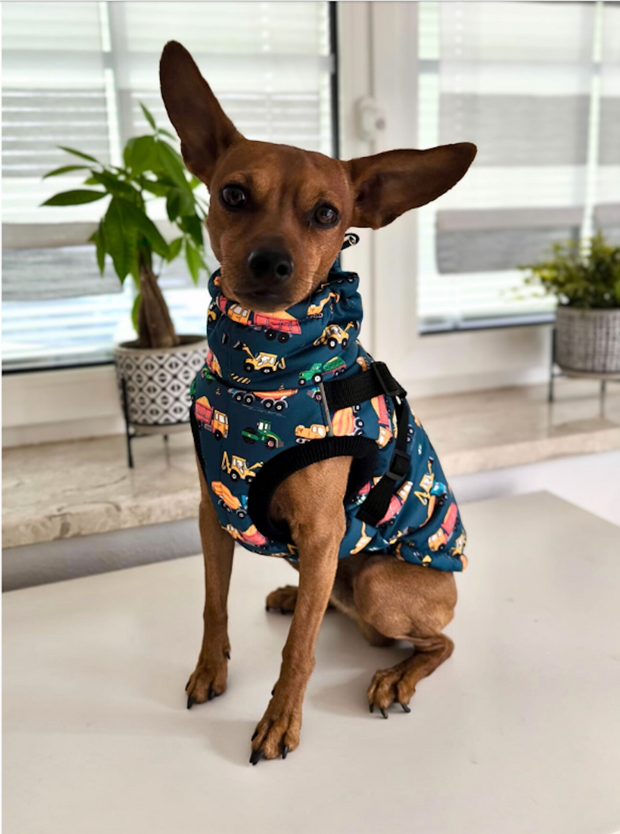 SPACE LION Daunen-Winterjacke Für Hunde – Wasserdicht, Winddicht, Verstellbar, Größe S-XL (Rosa)