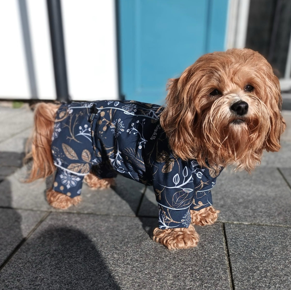 Hundemantel mit BAUCHSCHUTZ | Hundemantel fr Weibchen | Lucy & Fly  LucyandFly