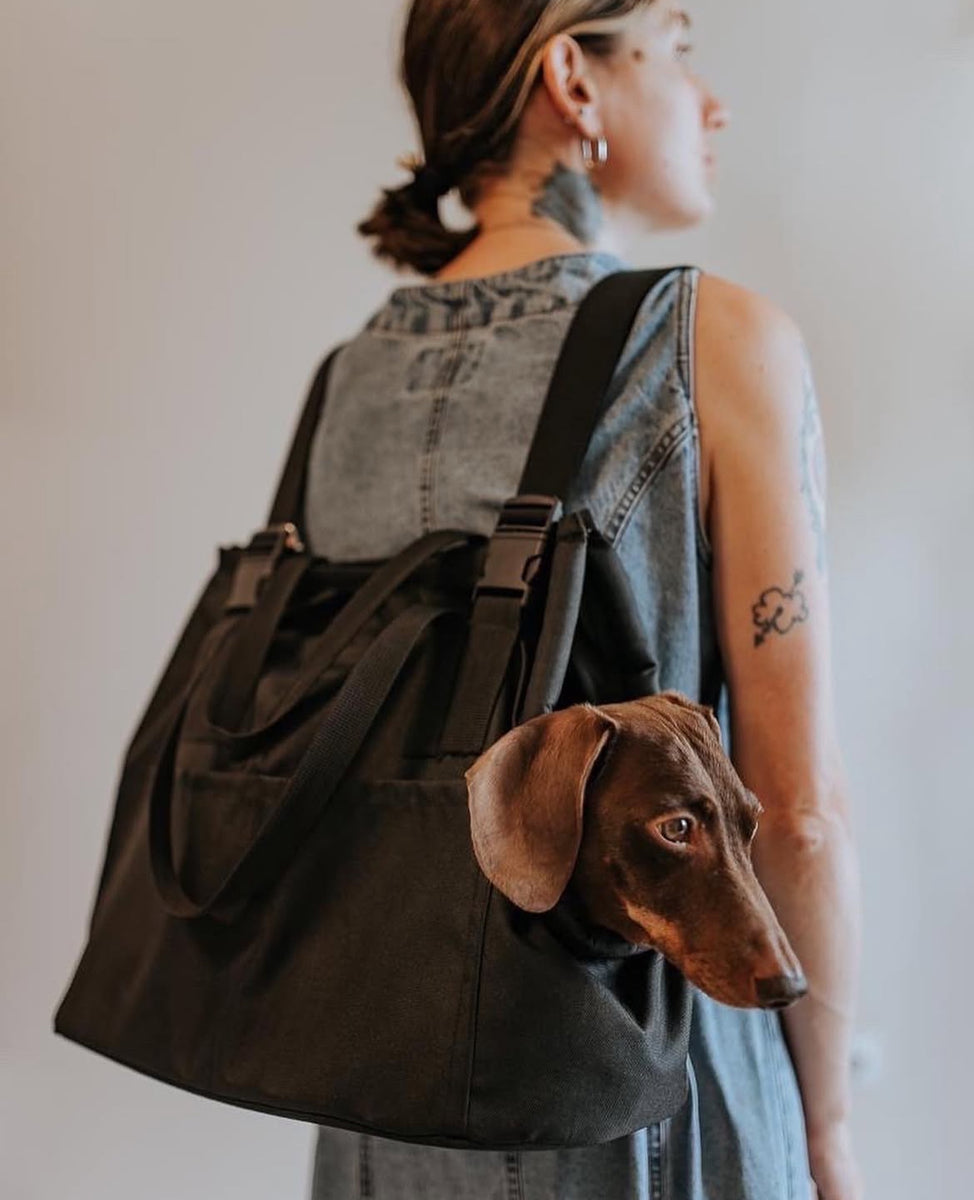 Hundetragetaschen Transporttasche für Hunde Lucy Fly– LucyandFly