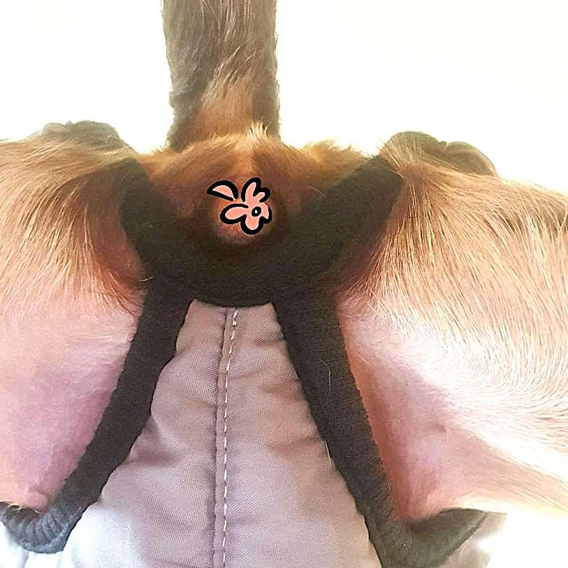 Wintermantel für Hündinnen ohne Beine mit Bauchschutz