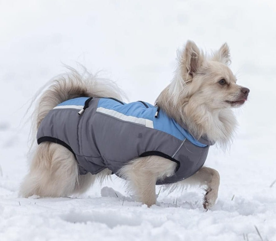 Schne Hunde Wintermantel Mit Bauchschutz Bild