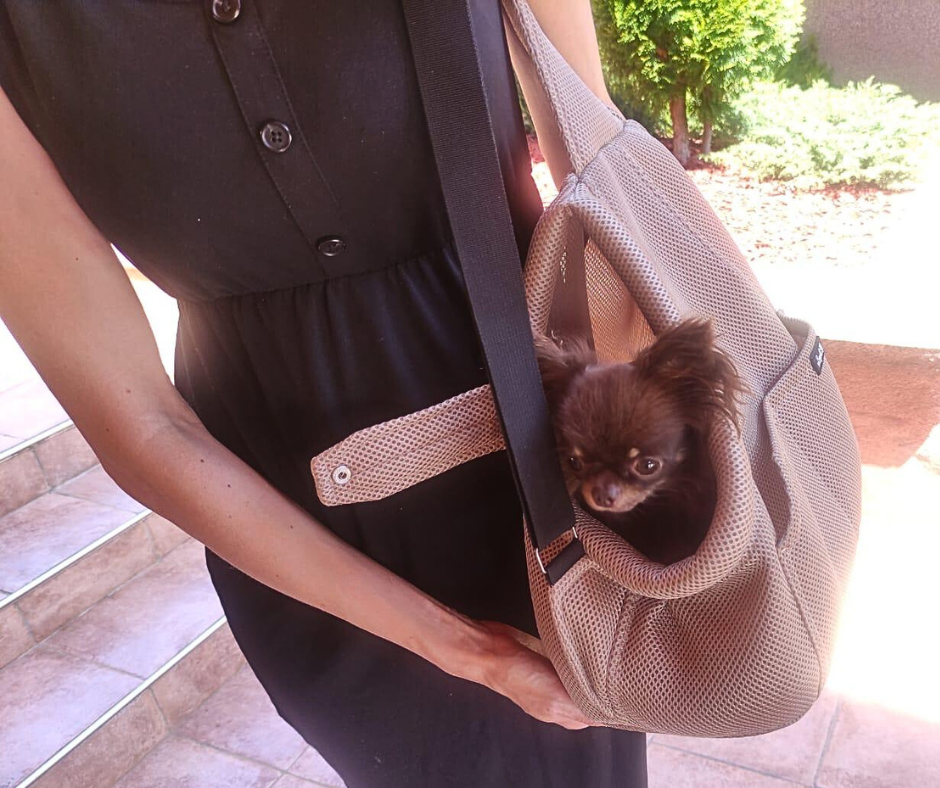 Hundetasche für kleine Hunde im Sommer – sicher reisen mit Ihrem Hund