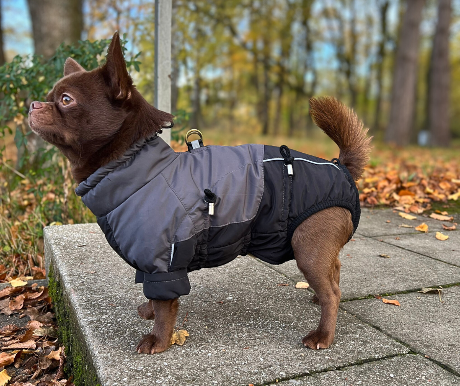 Bitte nehmen Sie unsere Maßanleitung ernst – für den perfekten Sitz Ihres Lucy & Fly Outfits 👌!