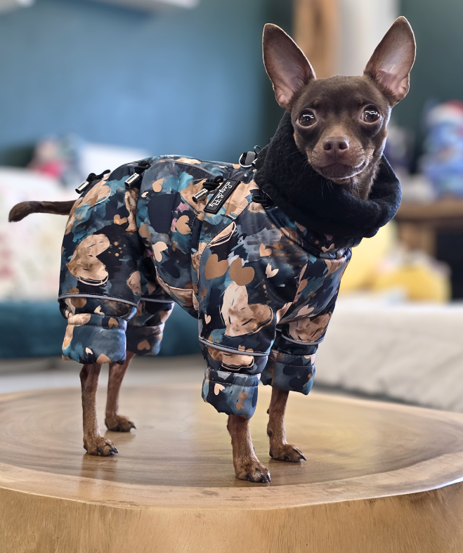 Maßanfertigung – wenn Liebe im Detail steckt 🧵🐾