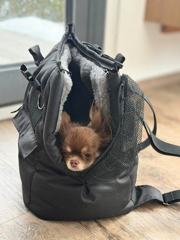 Pflegetipps für Hundetaschen von Lucy & Fly