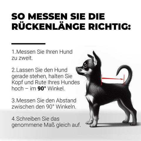 Für Rüden - "Luis" - Hundemantel ohne Fütterung / Gr. 29, 33