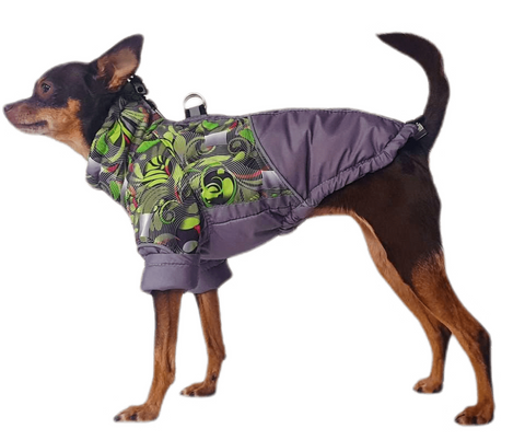 Winter vests / winter jackets "Franz" for male dogs 