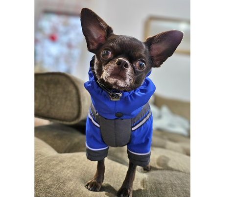 Wasserdichte Wintermäntel "Peter" für Rüden