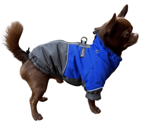 Dog jackets with light lining for male dogs 