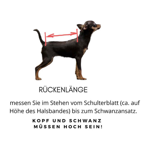 Hundepullover für Weibchen "Himmelblau"  / RL 25cm-27cm, BU 34-36cm