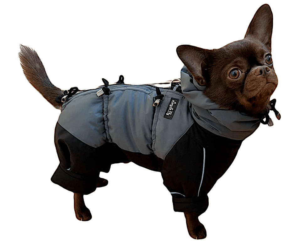 hundemantel mit bein Wintermantel Hund & Hundejacken Winter online kaufen