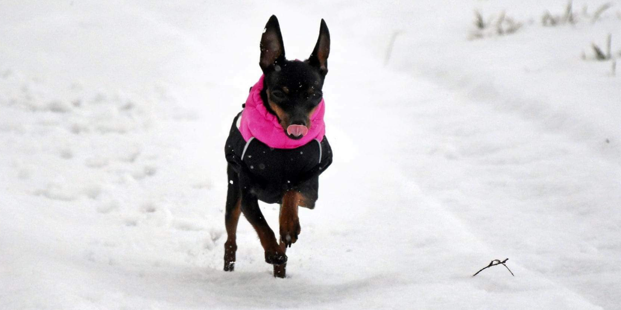 Mit Winterfütterung / Maßtabelle 1 / 100 % HANDARBEIT – 14 TAGE RÜCKGABE – SCHNELLER VERSAND