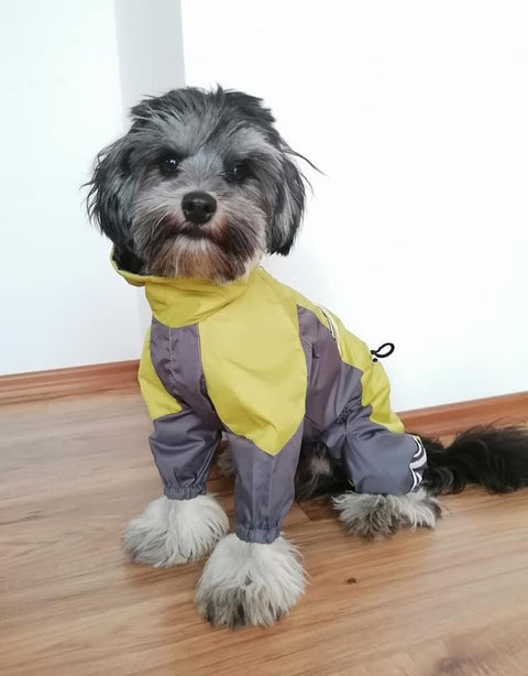 Für Rüden - "Luis" - Hundemantel ohne Fütterung / Gr. 29, 33