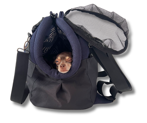 Kleiner Hund in marineblauer Hundetasche