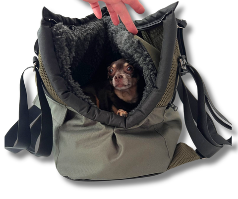Hund schaut aus der olivgrünen Hundetasche mit Rucksackfunktion und weichem Inlay