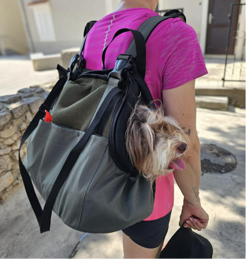 XL Hundetasche Summer Travel in Olivgrün und Schwarz mit Rucksackgurten und Fensternetz