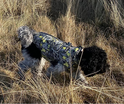 Waterproof winter vests "Flowers in the forest" for females with harness