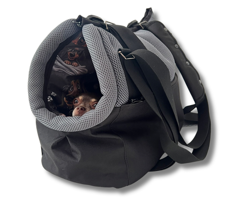 Kleiner Hund liegt entspannt im Graphic Style Hundetasche-Rucksack mit abnehmbarem Fensternetz und Innenkarabiner