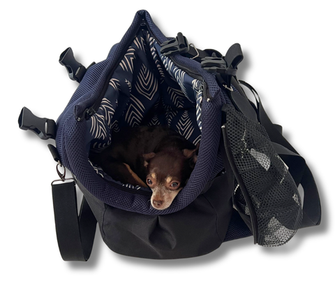 Kleiner Hund liegt in marineblauer Hundetasche mit geöffnetem Fensternetz und weichem Inlay