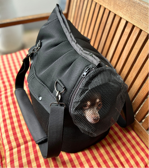 Schwarze Hundetasche Gr. M mit zwei Gurten und Fensternetz für kleine Hunde bis 5 kg