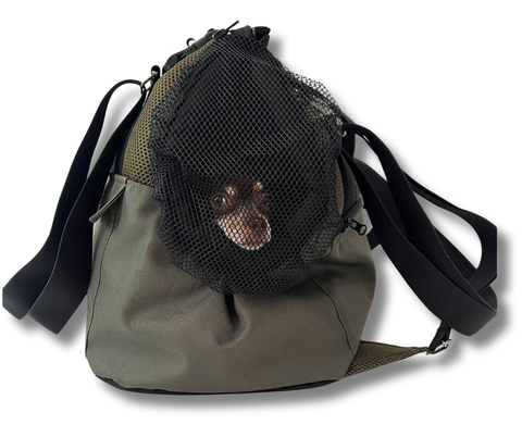 Kleiner Hund hinter dem Fensternetz in olivgrüner Hundetasche für Hunde bis 5 kg