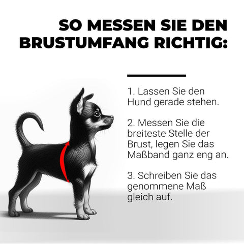 Miss Flexi - Verstellbare Wintermäntel mit Bauchschutz für Weibchen, WASSERDICHT