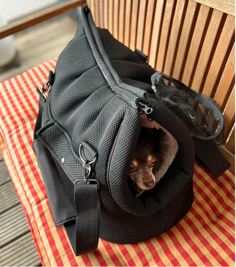 Schwarze Hundetasche Edelschwarz Gr. M mit zwei Gurten und kleinem Hund