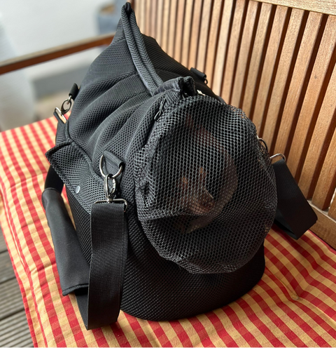 Offene schwarze Hundetasche Edelschwarz mit gemütlichem Inlay für kleine Hunde bis 5 kg