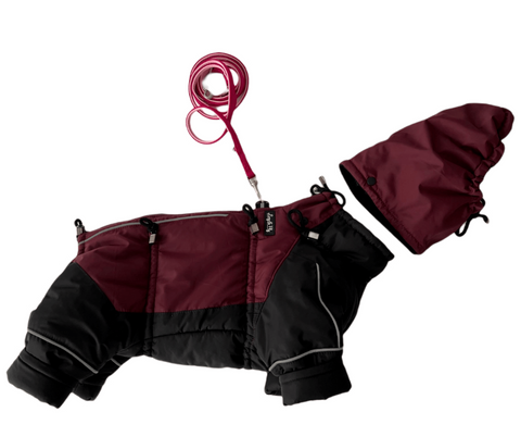 Miss Flexi - Verstellbare Wintermäntel mit Bauchschutz für Weibchen, WASSERDICHT