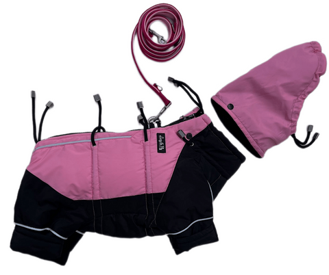 Miss Flexi - Verstellbare Wintermäntel mit Bauchschutz für Weibchen, WASSERDICHT