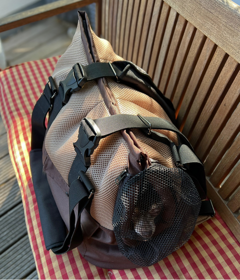 Kleiner Hund in der Hundetasche Choco Dream mit weichem herausnehmbarem Inlay