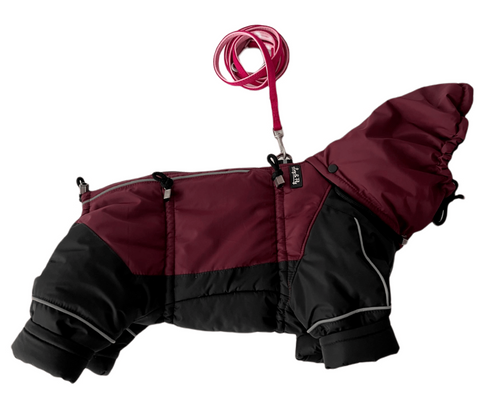 Miss Flexi - Verstellbare Wintermäntel mit Bauchschutz für Weibchen, WASSERDICHT