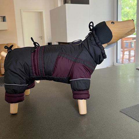 For male dogs - "Peter" - winter coat with legs