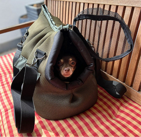 Hundetasche Gr. M mit zwei Gurten und kleinem Hund