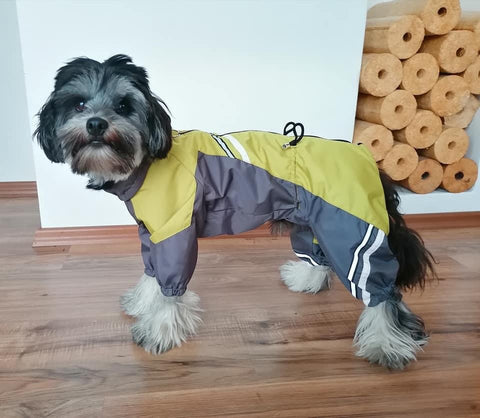 Für Rüden - "Luis" - Hundemantel ohne Fütterung / Gr. 29, 33