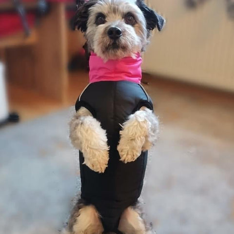 Brunhilde - winter coats for females with belly protection without legs