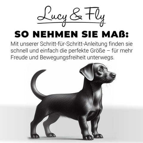 For hannhunder - "Luis" - hundefrakk uten fôr/str. 29, 33