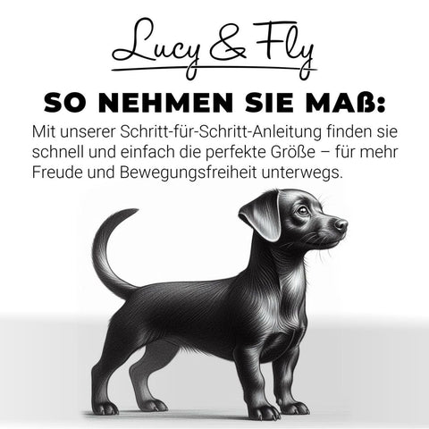 Für Rüden - "Luis" - Hundemantel ohne Fütterung / Gr. 29, 33