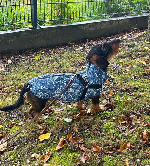 Wasserdichte Hundewesten mit Geschirr "Waldnacht" für Rüden / Leichte Fütterung