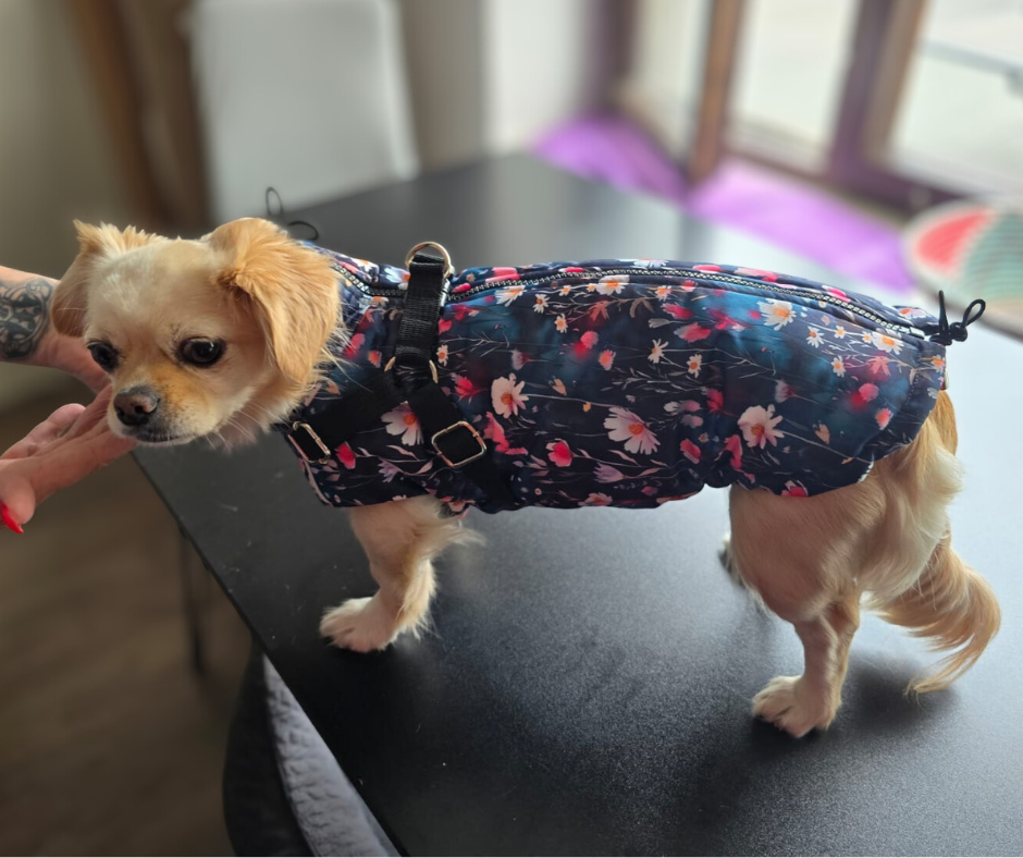 Wasserdichte Softschell - Winterwesten 