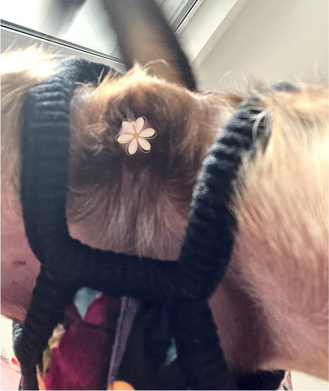 Floretta - Softshell Wintermäntel für Weibchen mit Bauchschutz ohne Beine