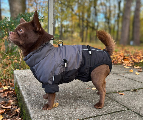 Fabio - Wintermäntel für Rüden mit BAUCHSCHUTZ