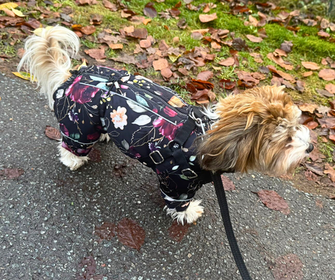 Wasserdichte Softschell-Wintermäntel "Dark Flower" für Weibchen mit Bauchschutz / Geschirr