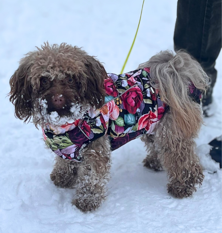 Floretta - Softshell Wintermäntel für Weibchen mit Bauchschutz ohne Beine