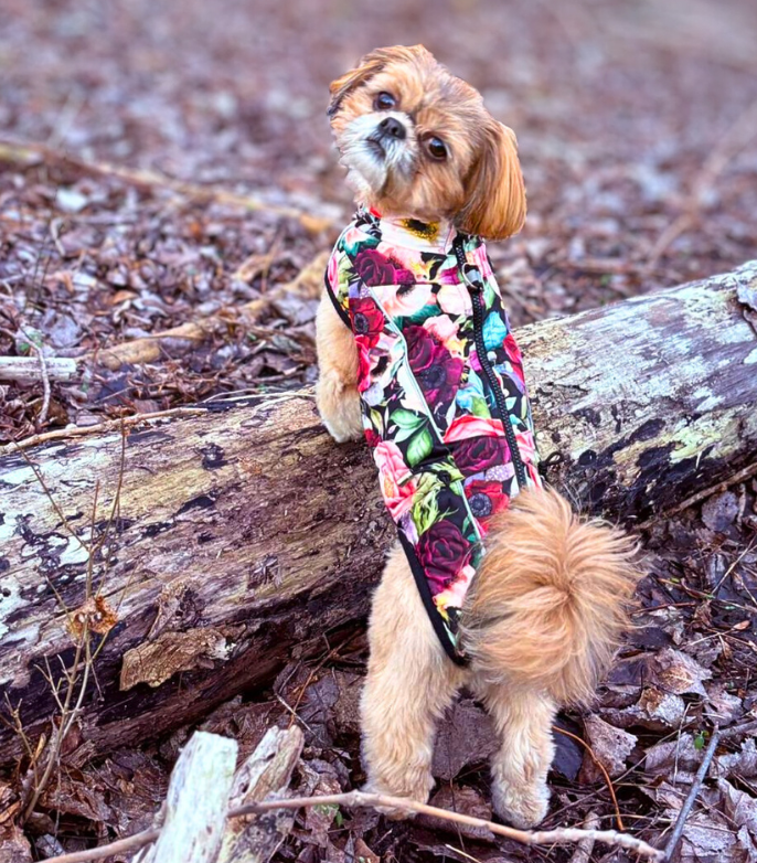 Floretta - Softshell Wintermäntel für Weibchen mit Bauchschutz ohne Beine