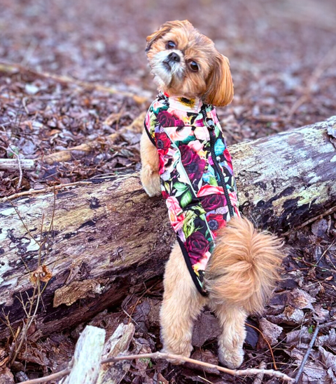 Floretta - Softshell Wintermäntel für Weibchen mit Bauchschutz ohne Beine